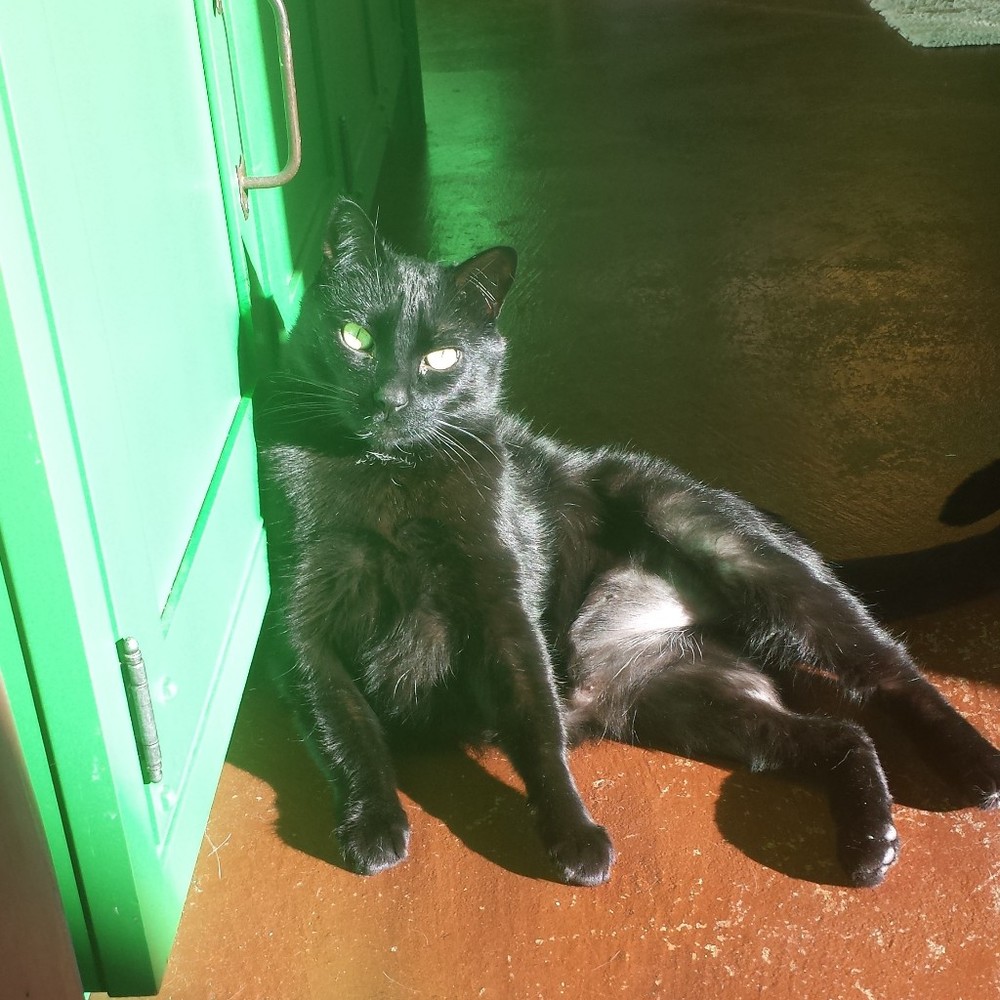 Meet your Posher, Gretchen